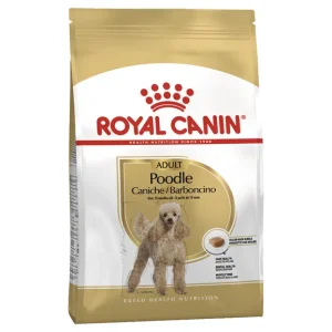 Royal Canin Dry Food